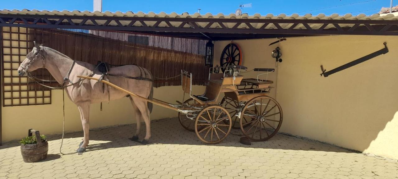 Solar Do Madala Apartment Seixo da Beira Екстериор снимка