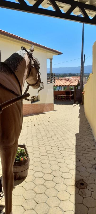 Solar Do Madala Apartment Seixo da Beira Екстериор снимка